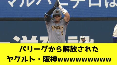 パリーグから解放されたヤクルト・阪神wwwwwwwww【なんJ反応】