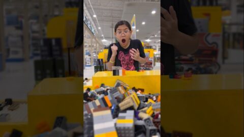 ME Bro and Sis🤩 For Highest LEGO | J Jai Pan เจไจ๋แปน