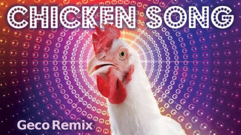 J.Geco – Chicken Song