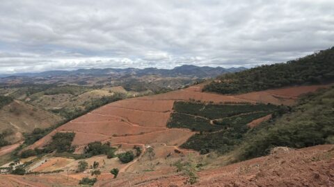 Operação contra desmatamento embarga 80 hectares de Mata Atlântica