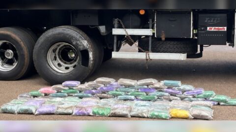Polícia apreende quase 100 kg de cocaína, cigarros e mercadorias em ações no interior de SP