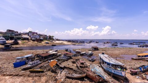Rio Negro está quase 4 metros abaixo do nível registrado no mesmo período de 2025 em Manaus